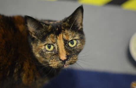 Little One — Unknown