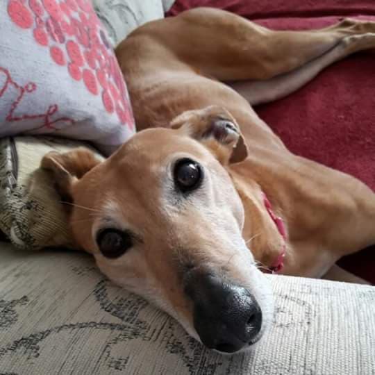 Spring Auction 2015 NOW CLOSED — Unknown