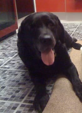 Georgie Angel — Unknown