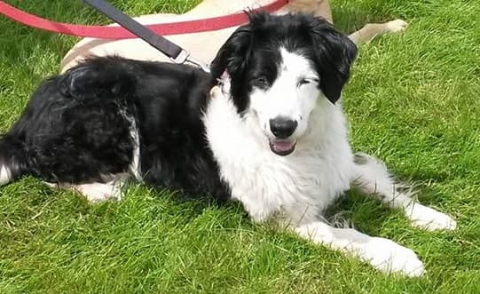 Megan, an angel — Unknown