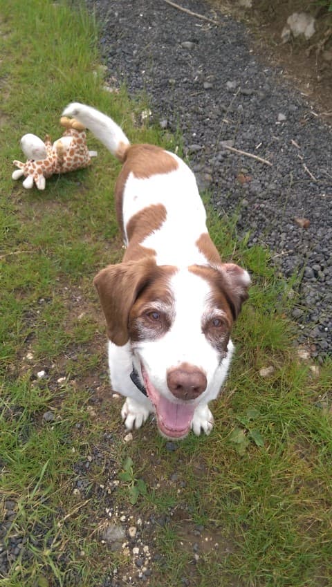 Vinnie is having a wonderful life — Unknown