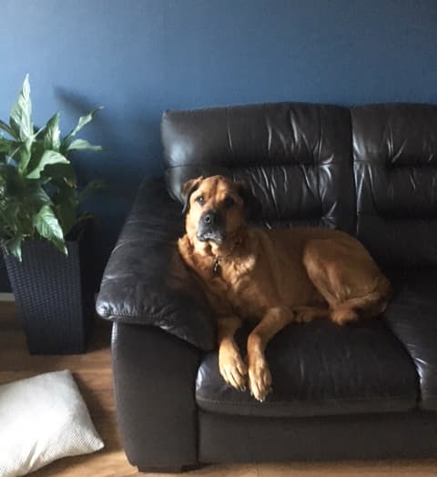 Huggable Hunny — Unknown