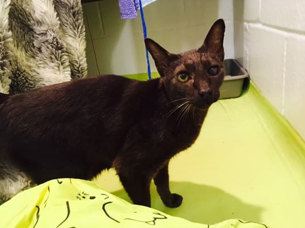 Charlie & Jasper — Unknown