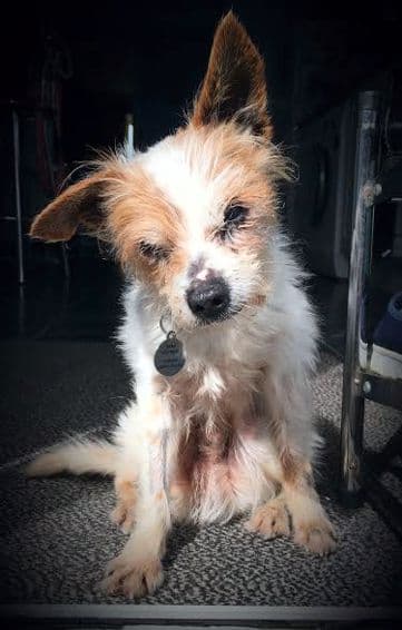 Wonderful Wonky Stiggy Wiggy — Unknown