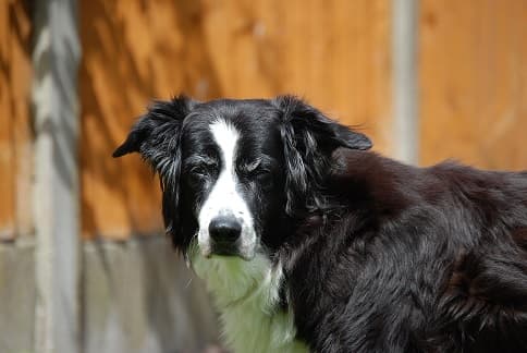 Terrific Tess — Unknown