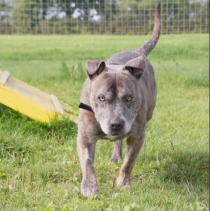 Smokey B — Unknown