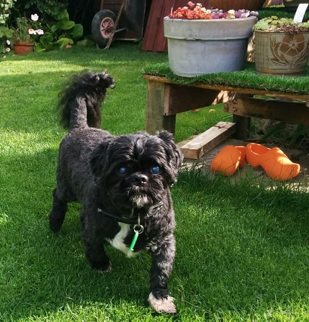 Laid Back Jack — Unknown