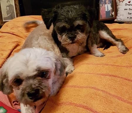 Matilda and Honey — Unknown