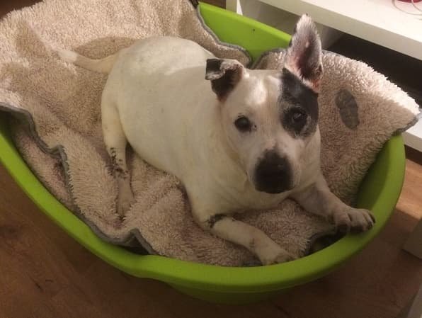 Special Spot — Unknown