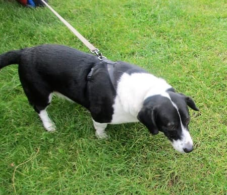 Humphrey — Unknown