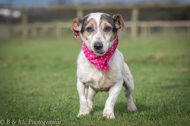 Queenie & Gladys — Unknown
