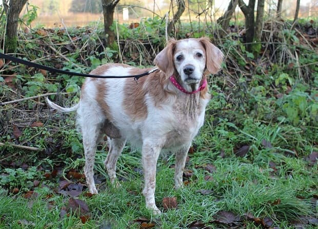 Sooty – girl — Unknown