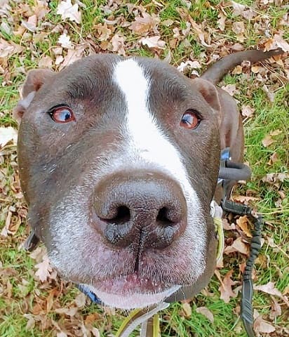 Big Bruce — Unknown