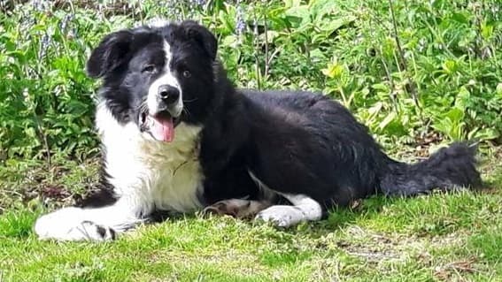 Finnegan — Unknown