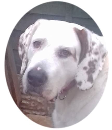 Mister Blue — Unknown