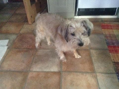 Sweet Rocky — Unknown