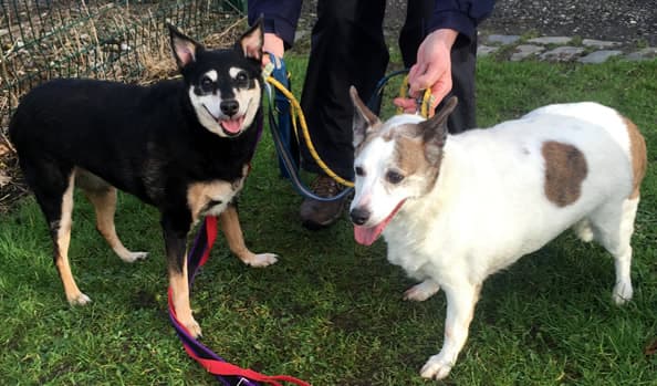 Sophie & Candy — Unknown