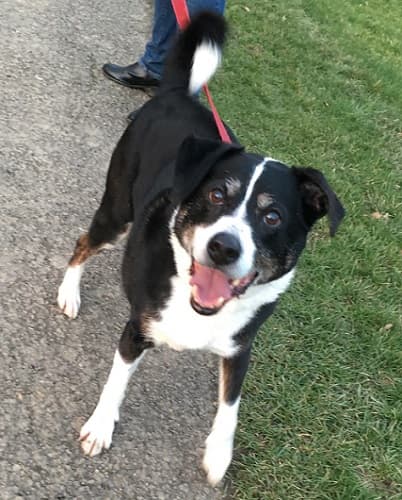 Notley loves everything! — Unknown