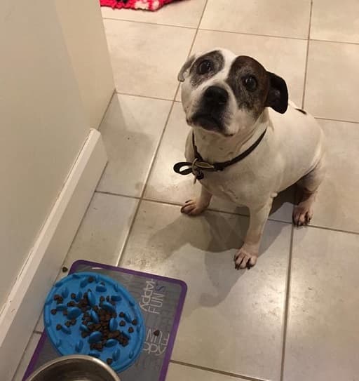 Ruby Roo — Unknown