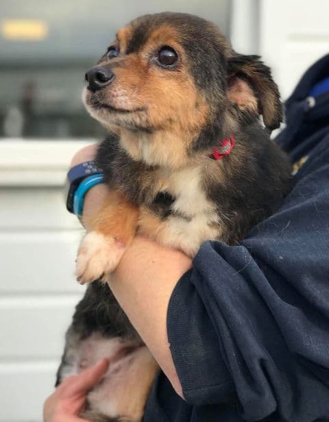 Kitty Angel — Unknown