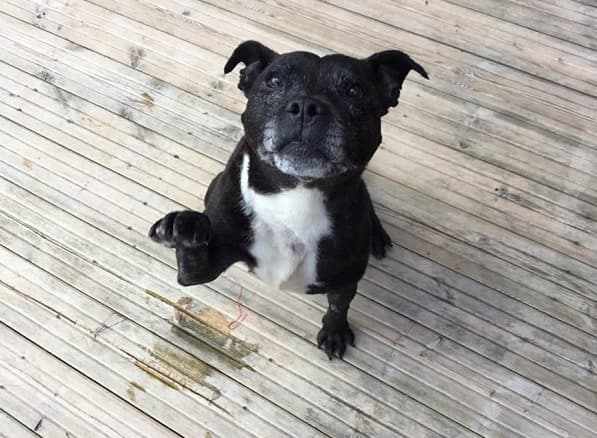 Princess — Unknown