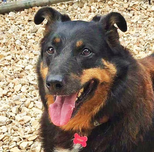 Fletcher — Unknown