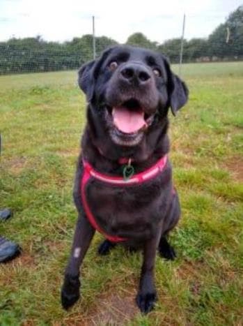 Max & Flash — Unknown