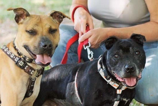 Shola & Carly — Unknown