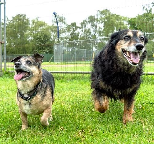 Daisy & Poppy — Unknown