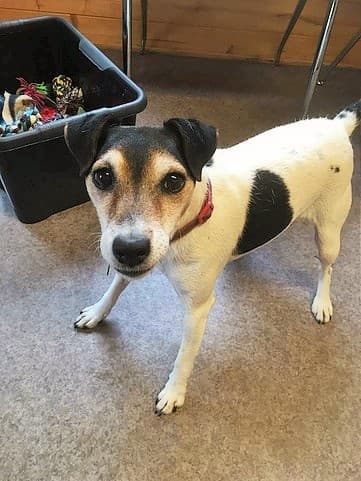 Tallulah — Unknown