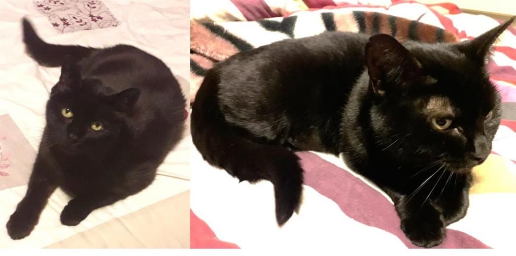 Bonnie & Jet — Unknown