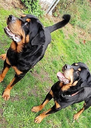 Kaiser and Khan — Unknown