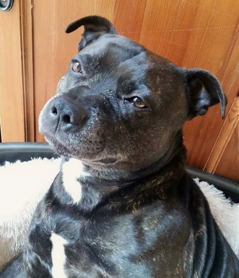 Little clown Tucker! — Unknown