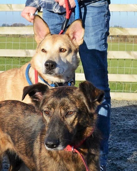 Sunny & Ricky — Unknown