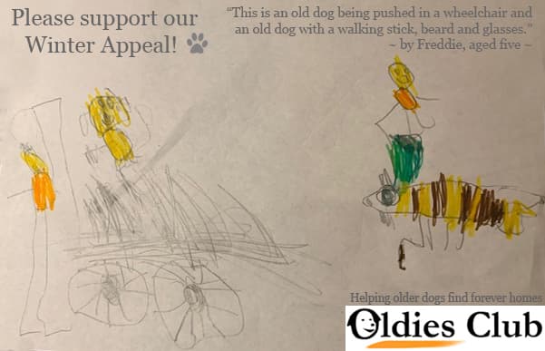 Please support our Winter Appeal today — Unknown