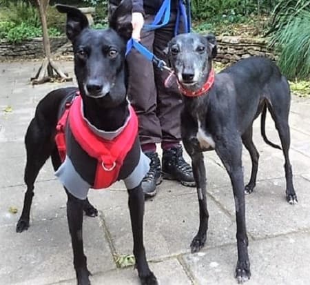 Beverley — Unknown