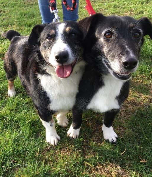 Jack & Vera — Unknown