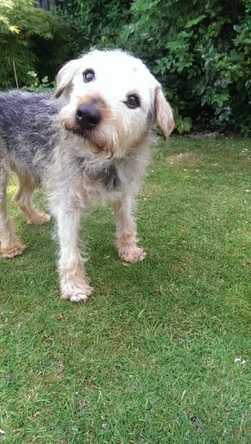 Angel Max — Unknown