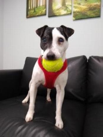 Sally-Anne — Unknown