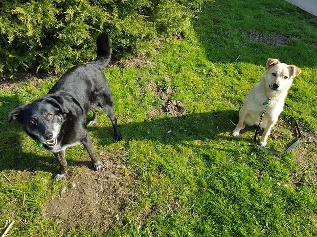 Sasha & Brie — Unknown