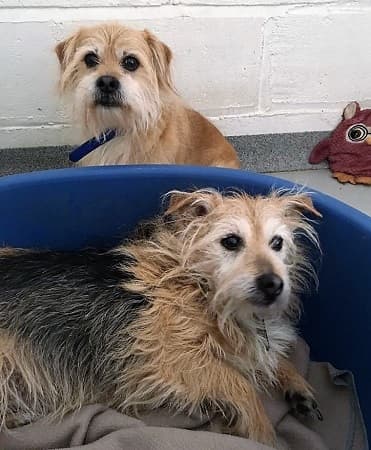 Bobby and Rosie — Unknown