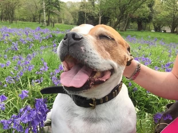 Chatty Missy Tickletum! — Unknown