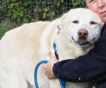 Scarlett — Unknown