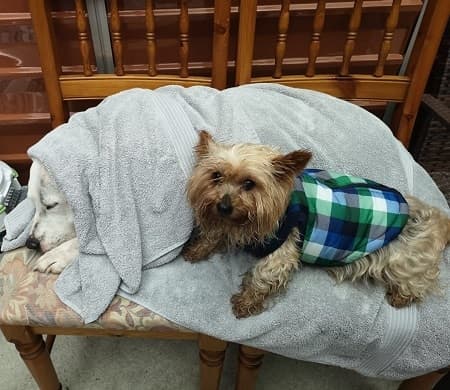 Scott and Mushy — Unknown