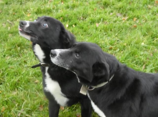 Bess and Roy — Unknown