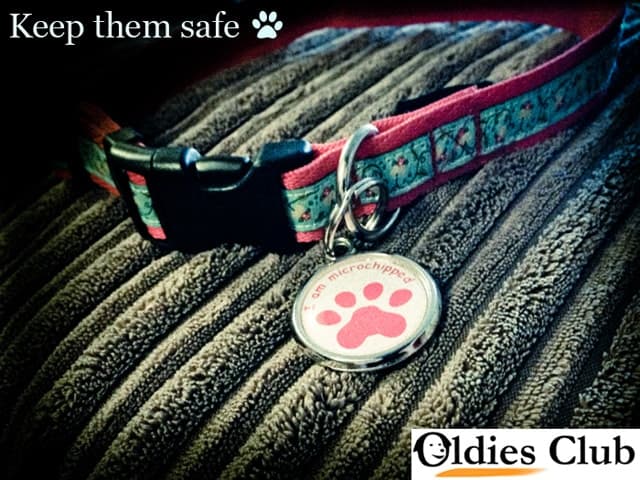 *Keep them safe (from fireworks)* — Unknown