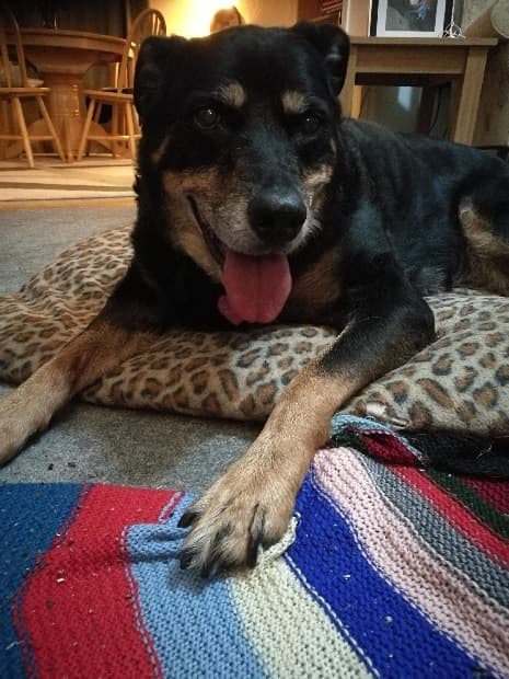 Beautiful Bella — Unknown