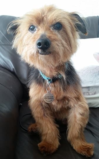 Sprightly Minty! — Unknown