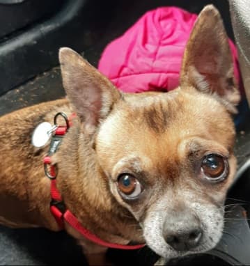 Sapphire — Unknown