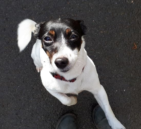 Super smart Lilly! — Unknown